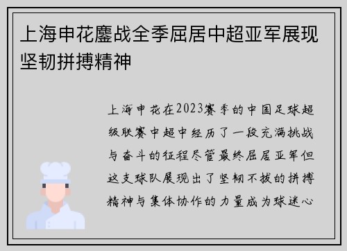 上海申花鏖战全季屈居中超亚军展现坚韧拼搏精神