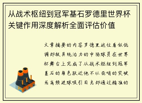 从战术枢纽到冠军基石罗德里世界杯关键作用深度解析全面评估价值